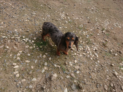 f:id:roukenhome-ann:20190711114055j:plain