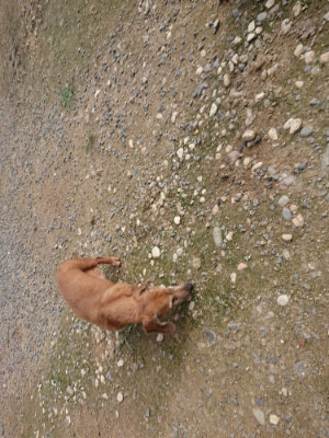 f:id:roukenhome-ann:20190711114101j:plain