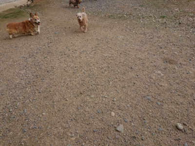 f:id:roukenhome-ann:20190711114116j:plain