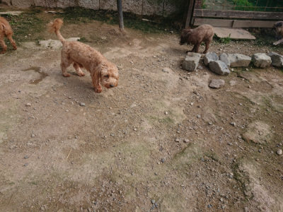 f:id:roukenhome-ann:20190711114120j:plain