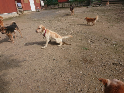 f:id:roukenhome-ann:20190711114124j:plain