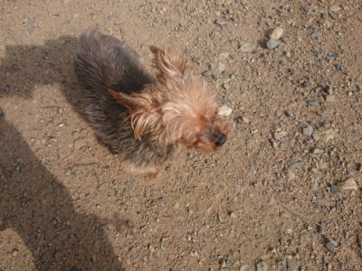 f:id:roukenhome-ann:20190711114134j:plain