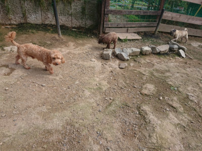 f:id:roukenhome-ann:20190711114145j:plain