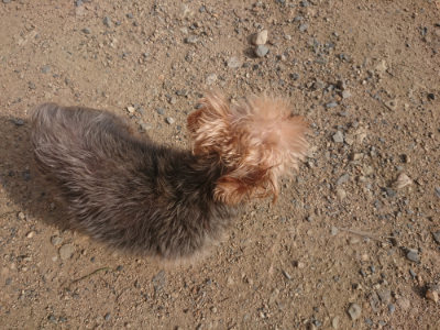 f:id:roukenhome-ann:20190711114155j:plain