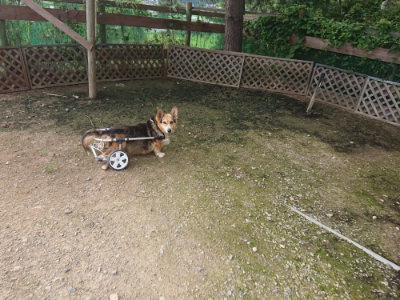 f:id:roukenhome-ann:20190711114159j:plain