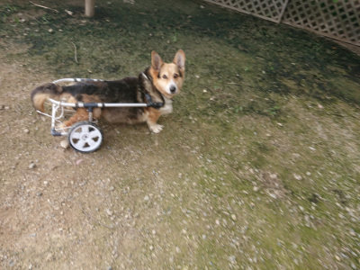 f:id:roukenhome-ann:20190711114205j:plain