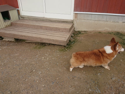 f:id:roukenhome-ann:20190711114349j:plain