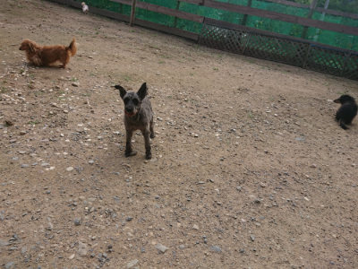 f:id:roukenhome-ann:20190711114355j:plain