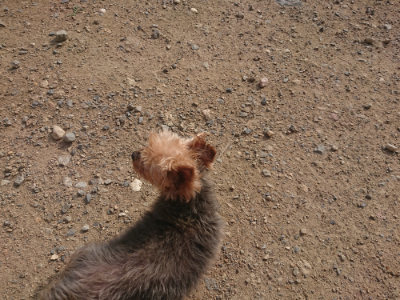 f:id:roukenhome-ann:20190711114418j:plain