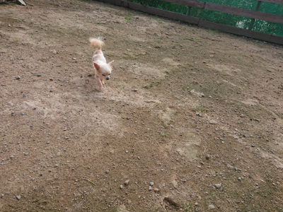 f:id:roukenhome-ann:20190711114427j:plain