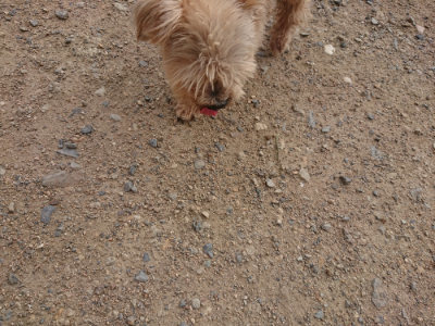 f:id:roukenhome-ann:20190711114441j:plain