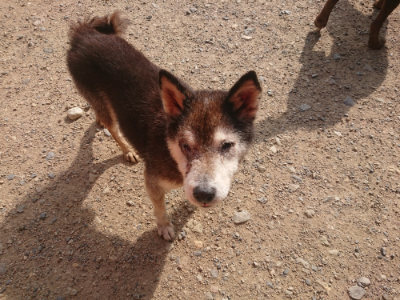 f:id:roukenhome-ann:20190711114453j:plain