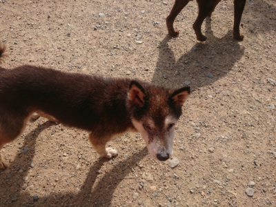 f:id:roukenhome-ann:20190711114523j:plain