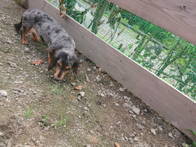 f:id:roukenhome-ann:20190711114547j:plain