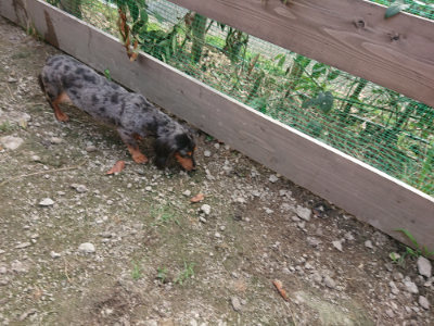 f:id:roukenhome-ann:20190711114607j:plain