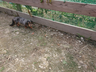 f:id:roukenhome-ann:20190711114633j:plain
