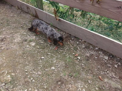 f:id:roukenhome-ann:20190711114639j:plain