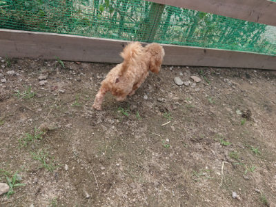 f:id:roukenhome-ann:20190711114657j:plain