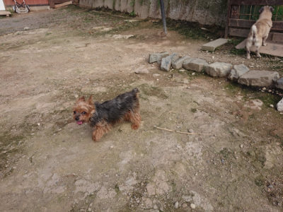 f:id:roukenhome-ann:20190711114726j:plain