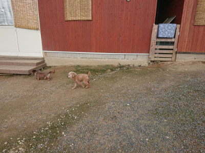 f:id:roukenhome-ann:20190711114739j:plain