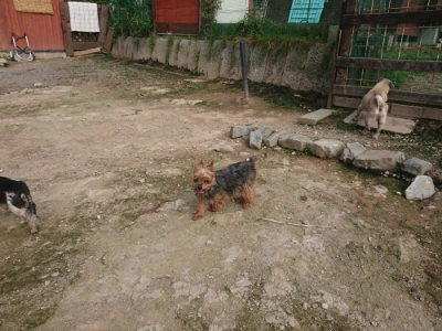 f:id:roukenhome-ann:20190711114749j:plain