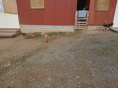 f:id:roukenhome-ann:20190711114804j:plain