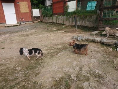 f:id:roukenhome-ann:20190711114814j:plain