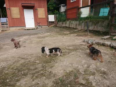 f:id:roukenhome-ann:20190711114833j:plain