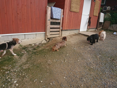 f:id:roukenhome-ann:20190711115011j:plain
