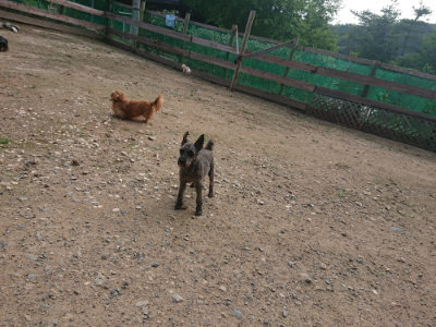 f:id:roukenhome-ann:20190711115015j:plain