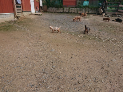 f:id:roukenhome-ann:20190711115036j:plain