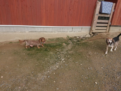 f:id:roukenhome-ann:20190711115050j:plain