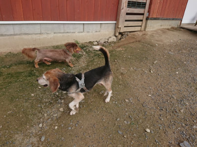f:id:roukenhome-ann:20190711115055j:plain