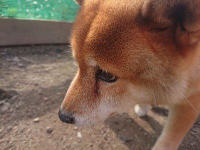 f:id:roukenhome-ann:20190711115128j:plain