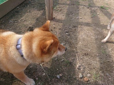 f:id:roukenhome-ann:20190711115132j:plain