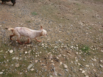 f:id:roukenhome-ann:20190711115209j:plain