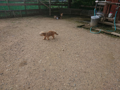 f:id:roukenhome-ann:20190711115224j:plain