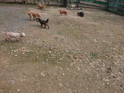 f:id:roukenhome-ann:20190711115247j:plain