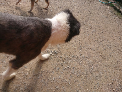 f:id:roukenhome-ann:20190711115258j:plain