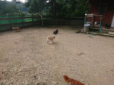 f:id:roukenhome-ann:20190711115325j:plain