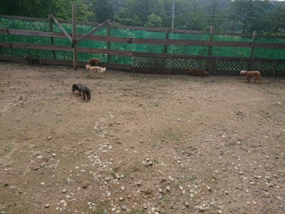 f:id:roukenhome-ann:20190711115344j:plain