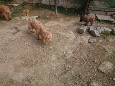 f:id:roukenhome-ann:20190711120258j:plain