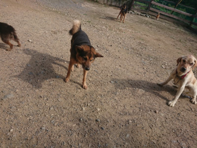 f:id:roukenhome-ann:20190711120309j:plain
