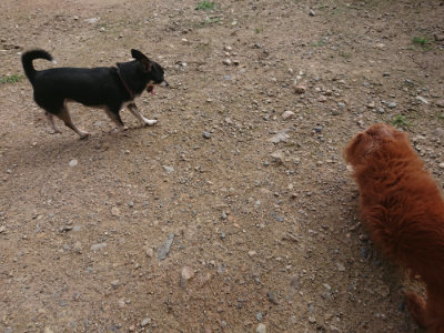 f:id:roukenhome-ann:20190711120334j:plain
