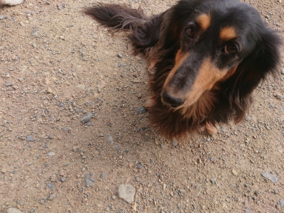 f:id:roukenhome-ann:20190711120410j:plain