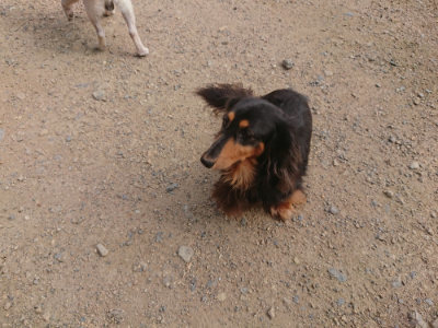 f:id:roukenhome-ann:20190711120415j:plain