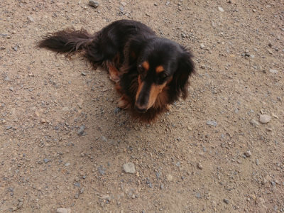 f:id:roukenhome-ann:20190711120439j:plain
