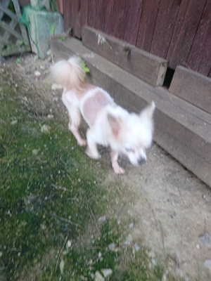 f:id:roukenhome-ann:20190711120455j:plain