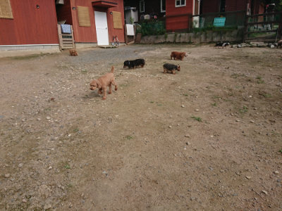 f:id:roukenhome-ann:20190711120503j:plain