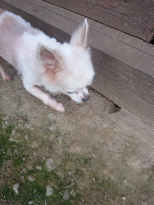 f:id:roukenhome-ann:20190711120518j:plain
